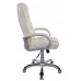 Кресло руководителя Бюрократ T-9905S/WHITE белый искусственная кожа (пластик серебро) 
