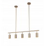 Подвесной светильник Moderli V4062-5P Section