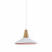 Подвесной светильник Moderli V1570-1P Luce 1*E27*60W 