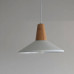 Подвесной светильник Moderli V1570-1P Luce 1*E27*60W 