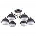 Люстра потолочная Lumion 4456/6C Jade 