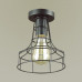 Светильник потолочный Lumion 3639/1C Alfred 