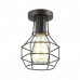 Светильник потолочный Lumion 3637/1C Harald 