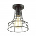 Светильник потолочный Lumion 3639/1C Alfred 