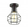 Светильник потолочный Lumion 3637/1C Harald
