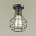 Светильник потолочный Lumion 3637/1C Harald 