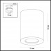Потолочный накладной светильник Odeon Light 3572/1C AQUANA 