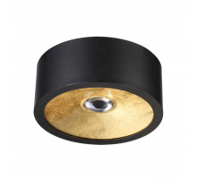 Светильник потолочный Odeon Light 3875/1CL GLASGOW