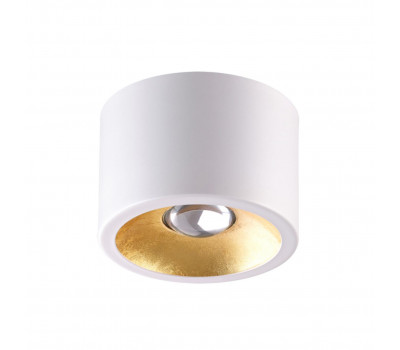 Потолочный накладной светильник Odeon Light 3877/1CL GLASGOW 