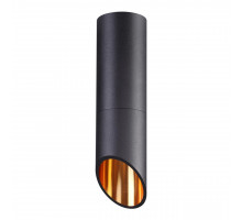 Потолочный светильник Odeon Light 4209/1C PRODY