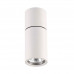 Потолочный накладной светильник Odeon Light 3582/1C DUETTA 