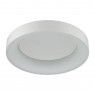 Светильник потолочный Odeon Light 4066/40CL SOLE