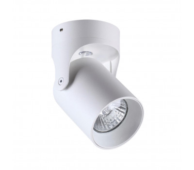 Потолочный накладной светильник Odeon Light 3854/1C CORSUS 