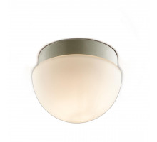 Светильник потолочный Odeon Light 2443/1B MINKAR