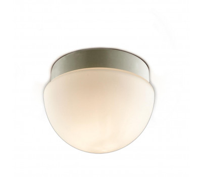 Светильник потолочный Odeon Light 2443/1B MINKAR 