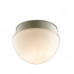 Светильник потолочный Odeon Light 2443/1B MINKAR 