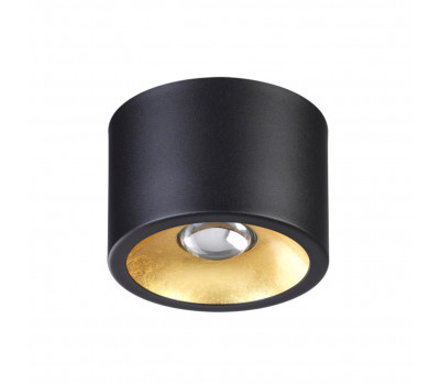 Потолочный накладной светильник Odeon Light 3878/1CL GLASGOW 