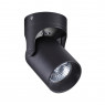 Потолочный накладной светильник Odeon Light 3855/1C CORSUS