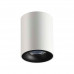 Потолочный накладной светильник Odeon Light 3569/1C TUBORINO 