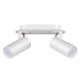 Светильник потолочный Odeon Light 3873/2C KIKO 