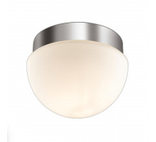 Светильник потолочный Odeon Light 2443/1A MINKAR
