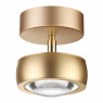 Светильник потолочный Odeon Light 3874/10CL OTTICO