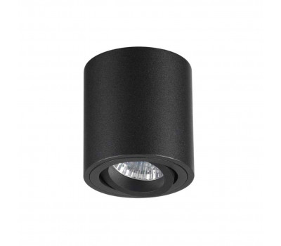 Потолочный накладной светильник Odeon Light 3568/1C TUBORINO 