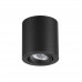 Потолочный накладной светильник Odeon Light 3568/1C TUBORINO 