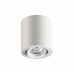 Потолочный накладной светильник Odeon Light 3567/1C TUBORINO 