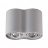 Потолочный накладной светильник Odeon Light 3831/2C PILLARON