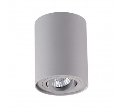 Потолочный накладной светильник Odeon Light 3831/1C PILLARON 