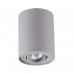 Потолочный накладной светильник Odeon Light 3831/1C PILLARON 