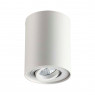 Потолочный накладной светильник Odeon Light 3564/1C PILLARON