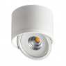 Накладной светильник NOVOTECH 357584 Gesso