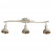 Спот Arte Lamp A5219PL-3WG Focus 