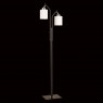Торшер Citilux CL123921