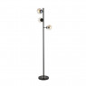 Торшер EVOLUCE SLE154905-03 LACOTTA