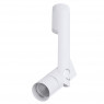 Потолочный светильник Arte Lamp A2514PL-1WH Orion