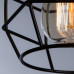 Потолочный светильник Arte Lamp A1109PL-1BK Spider 