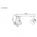 Потолочный светильник Arte Lamp A1314PL-2CC Lente 