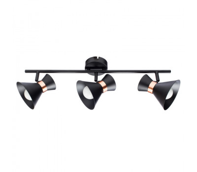 Спот Arte Lamp A1406PL-3BK Baltimore 