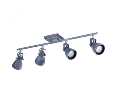 Потолочный светильник Arte Lamp A9189PL-4GY Gotto 