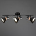 Спот Arte Lamp A1406PL-3BK Baltimore 